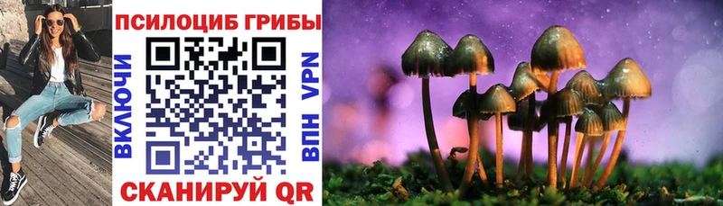 Псилоцибиновые грибы мицелий  Ильский 