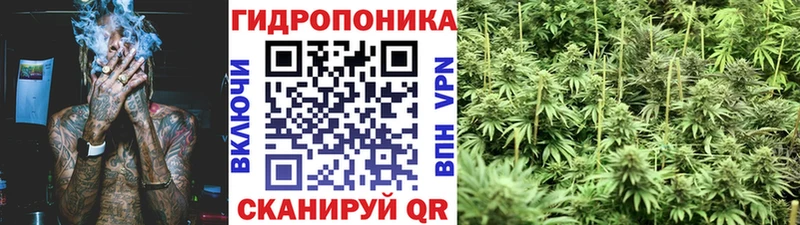 Канабис Ganja  Ильский 